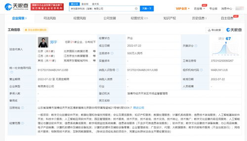 京东在淄博成立数字科技公司 开启互联网数据服务新篇章