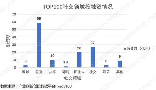 2017中国社交网络创新TOP100数据分析报告
