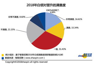 199it 互联网数据资讯中心的专业数据服务