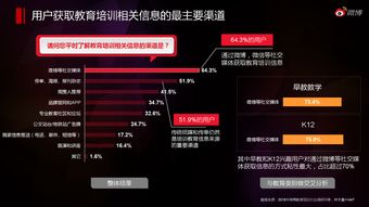 网络服务新篇章 解析199it互联网数据资讯中心的价值与未来